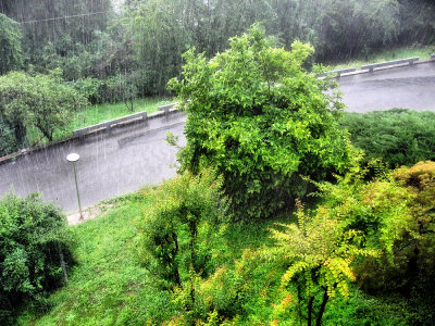 My wet street