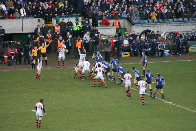 Lineout1.jpg