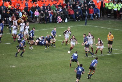 Leinster v Ulster3.jpg