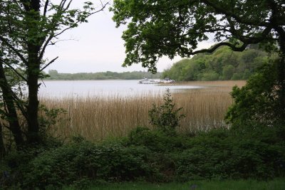 Lough Key.jpg