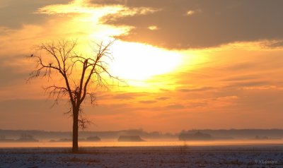 IMG_7073.jpg
