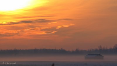 IMG_7087.jpg
