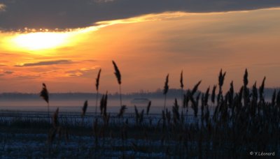 IMG_7096.jpg