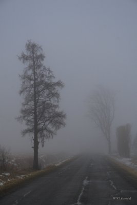 IMG_7134.jpg