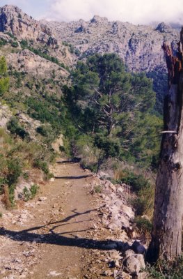 Mallorca