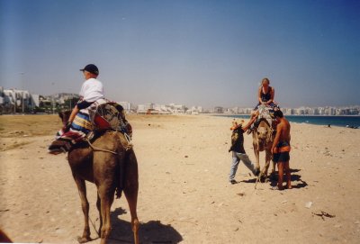 NV11_025.JPG