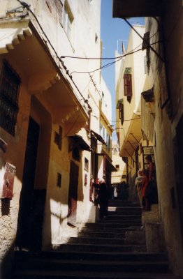 NV11_028.JPG