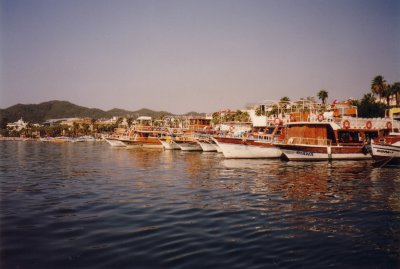 NV11_001.JPG