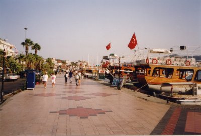 NV11_002.JPG