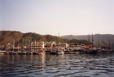 NV11_004.JPG