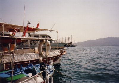 NV11_005.JPG