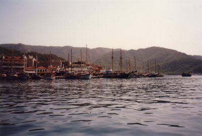 NV11_006.JPG