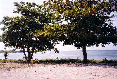 Trinidad