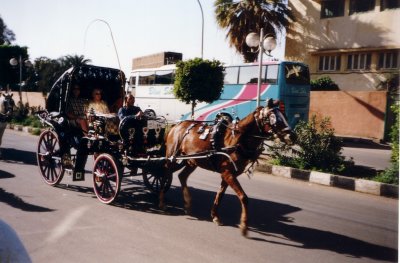 Egypt 2001