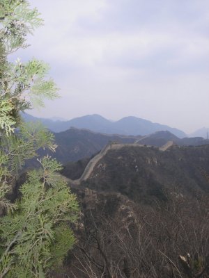 P1010103.JPG