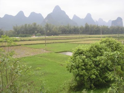 P1010300.JPG