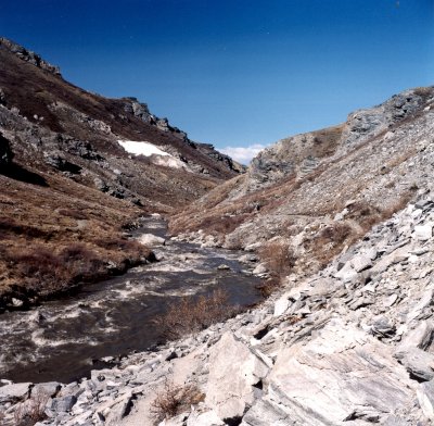 AK-Denali-Savage creek trail