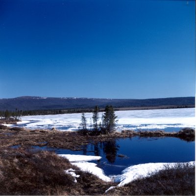 AK-Eight mile lake
