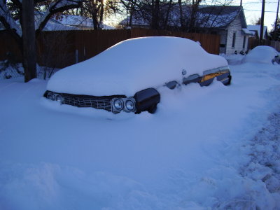 Blizzard in Colorado