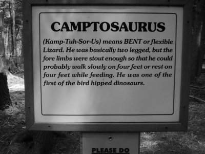 I think they mean camp-o-saurus