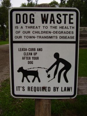 your dog is DEGRADING this town!!!