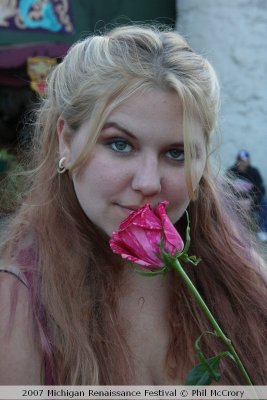 Nice rose