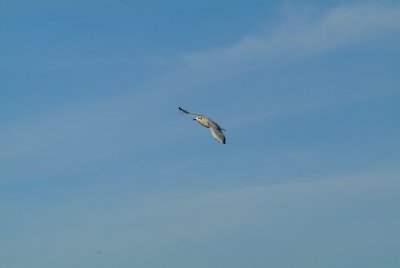 g6/09/720909/3/70467750.h6DtjjJN.jpg