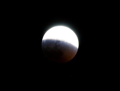 IMG_0486.jpg