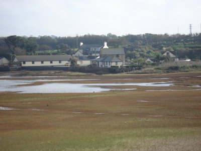 Quayside Cottage, Low tide.jpg