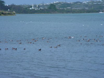 High Tide.jpg