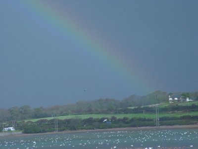 Rainbow.jpg