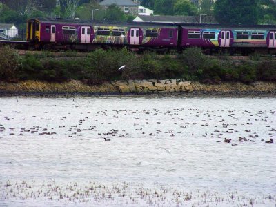 St Ives Train.jpg