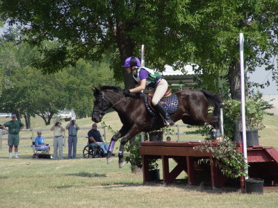 equestrian
