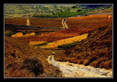 _DSC0898_edited-2.jpg