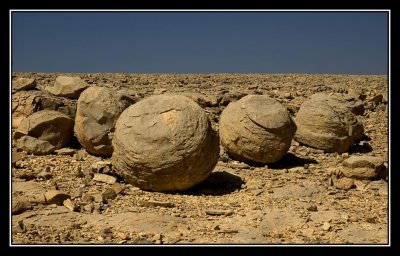_DSC0220_edited-3.jpg