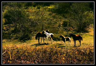_DSC1707_edited-2.jpg