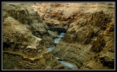 _DSC1880_edited-1.jpg