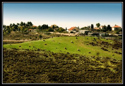 _DSC0928_edited-2.jpg