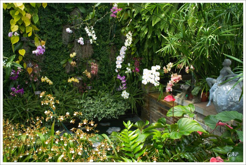 20070513_LewisGinterBotanicalGarden_19_sm.jpg