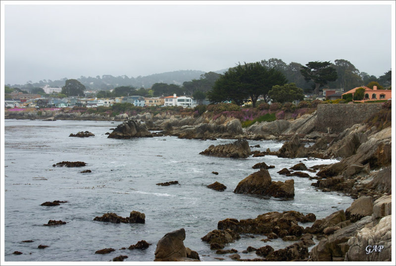 Monterey