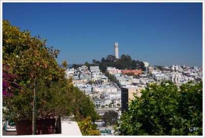 Coit Tower