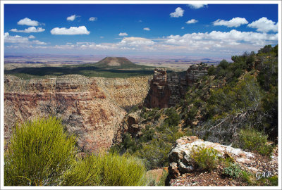Desert View
