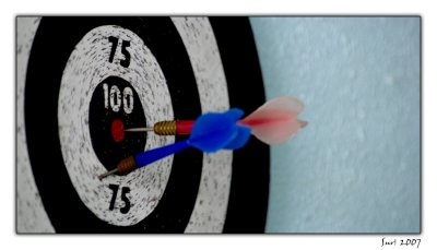Bulls Eye a Try !