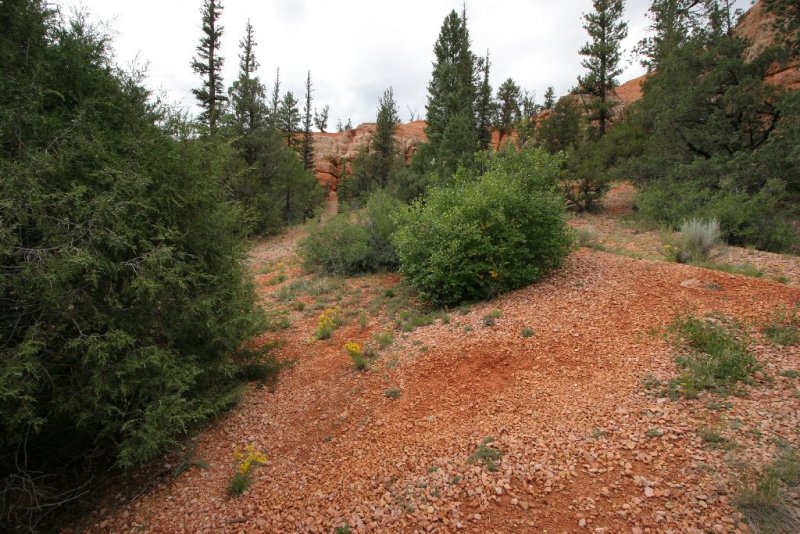 Red Canyon, Panguitch, Utah