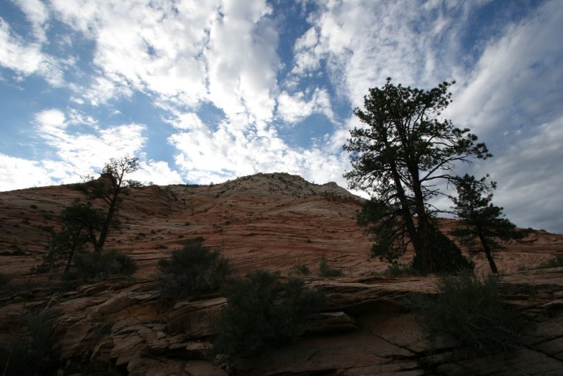 Zion Canyon, Utah