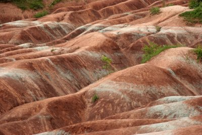 Ontario Badlands, Cheltenham