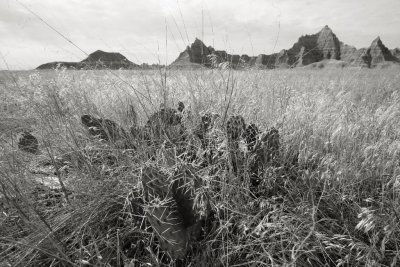 Badlands National Park, South Dakota