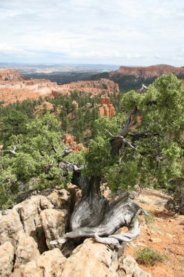 Bryce Canyon National Park, Utah