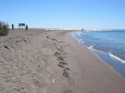 The Point - Point Pelee National Park, Leamington, Ontario