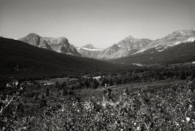 Between Cut Bank and Glacier, MT